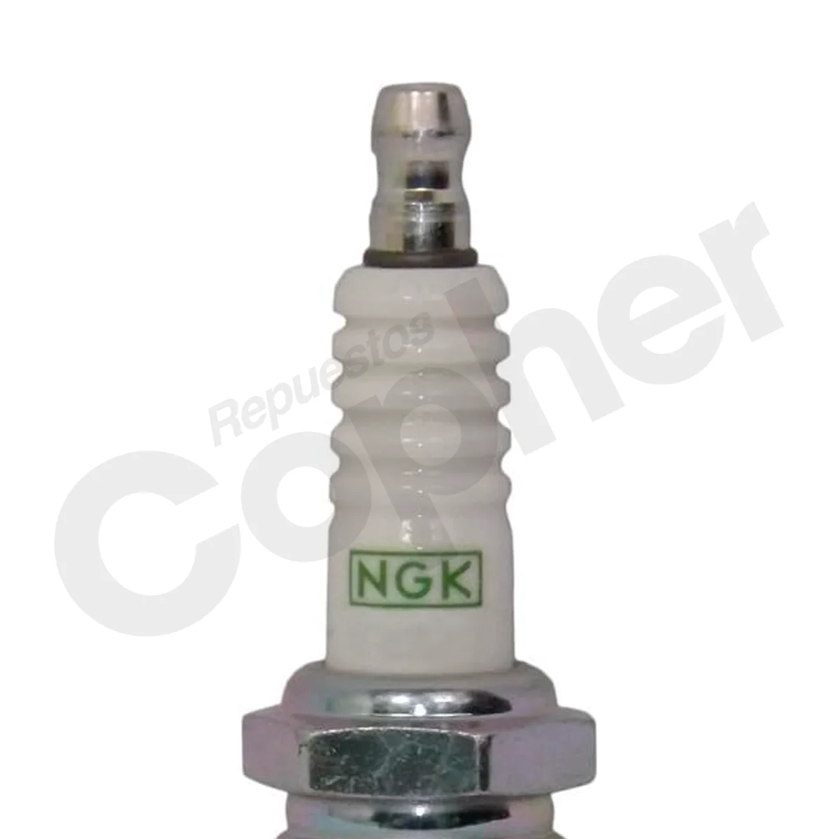 CANDELA BPR-5-EGP - Imagen 2